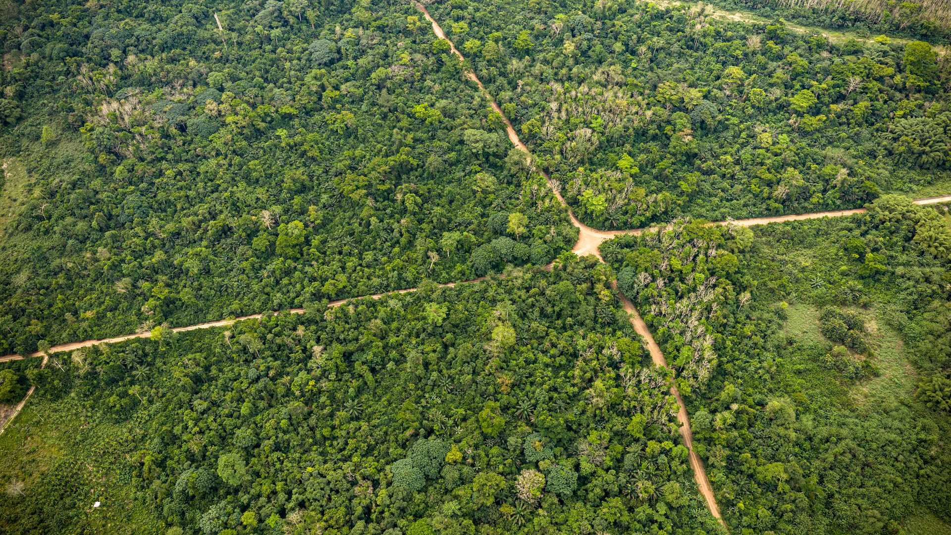 Aerial view of Zijin Golden Ridge reforestation programme — Ajenjua Bepo Forest Reserve, Ghana
