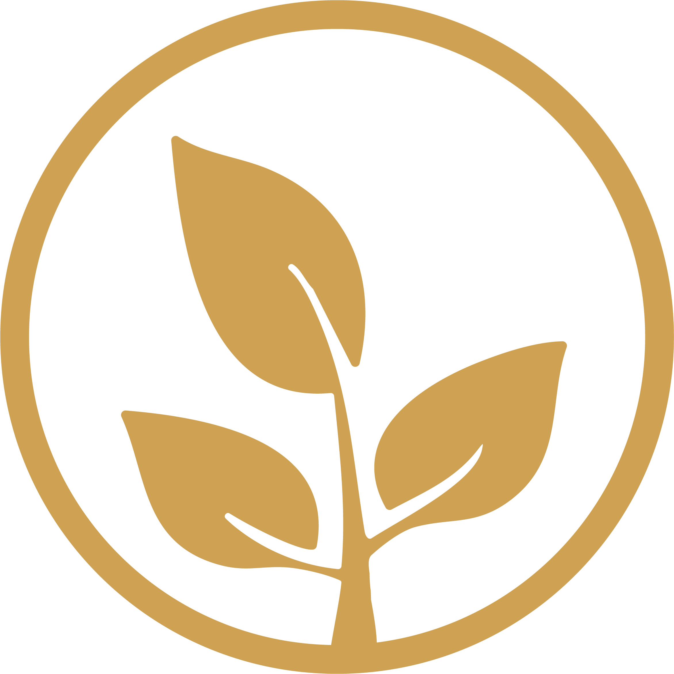 Green Icon