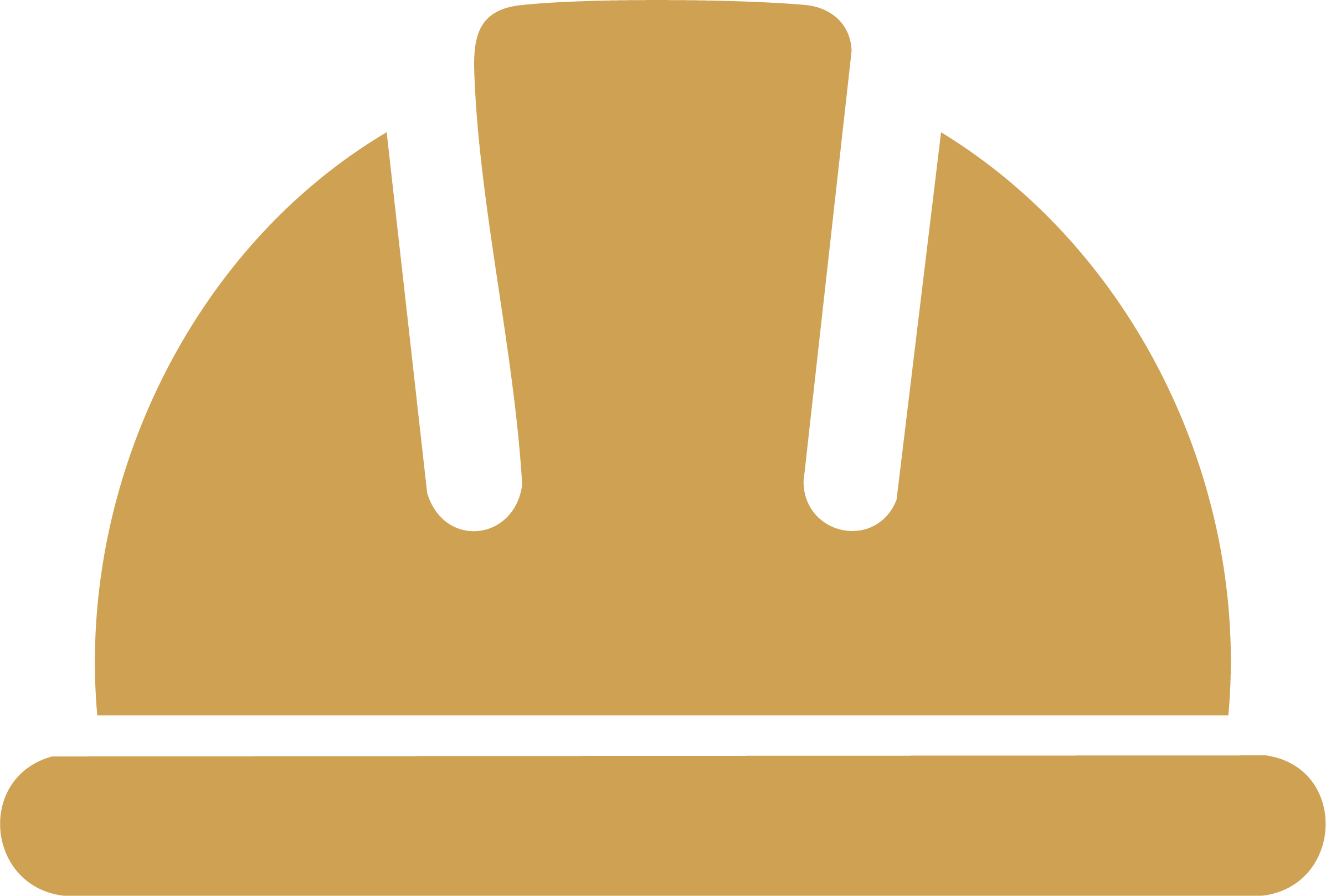 Safety Icon